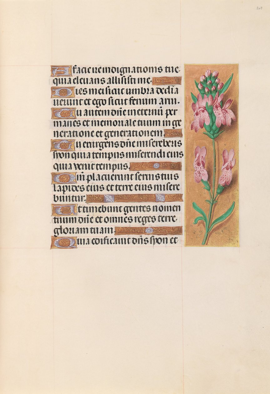 Izabella katolikus királyné, spanyol királynő órái: Fol. 207r, c. 1500. alkotó: Master of the First Prayerbook of Maximillian