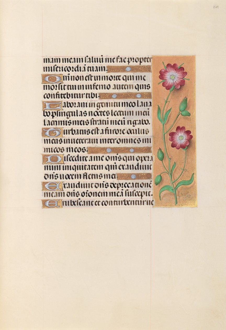 Izabella katolikus királyné, spanyol királynő órái: Fol. 229r, c. 1500. alkotó: Master of the First Prayerbook of Maximillian