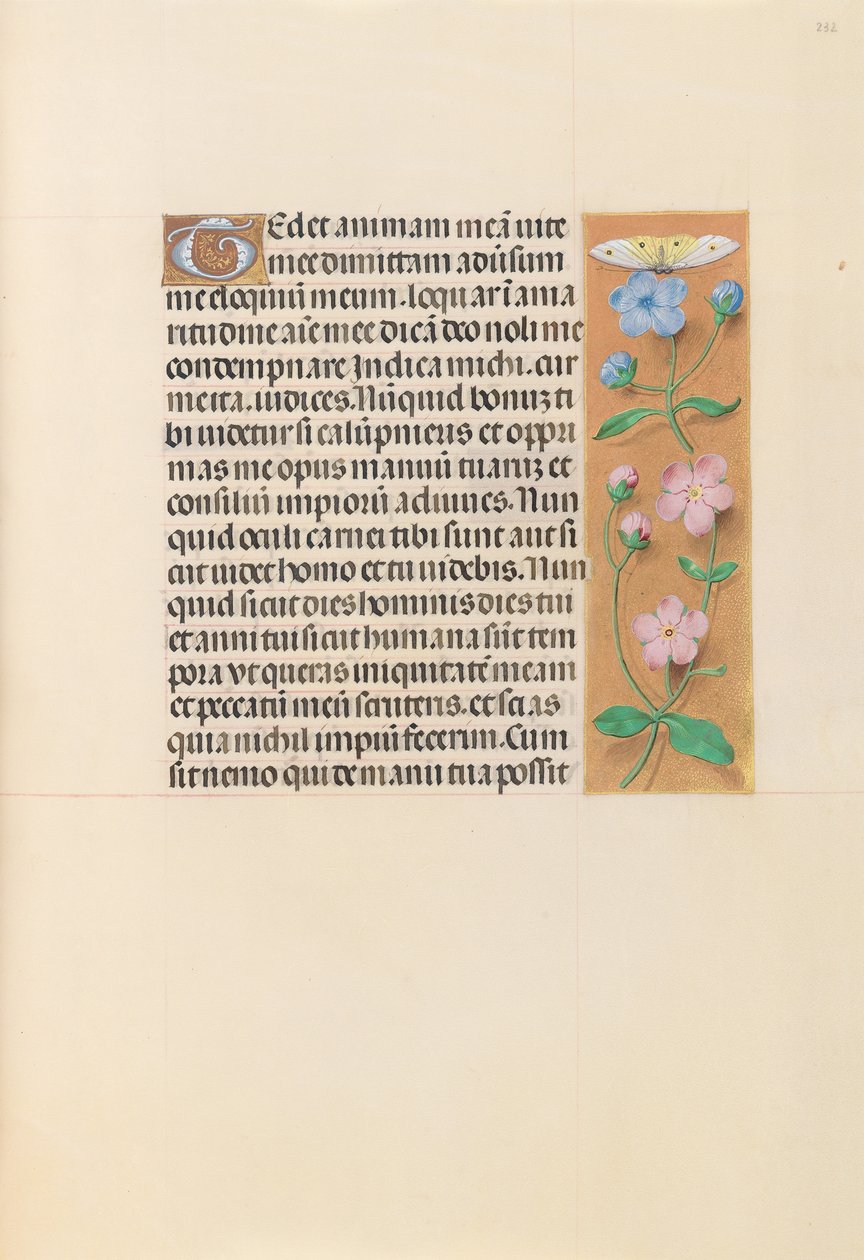 Izabella katolikus királyné, spanyol királynő órái: Fol. 232r, c. 1500. alkotó: Master of the First Prayerbook of Maximillian