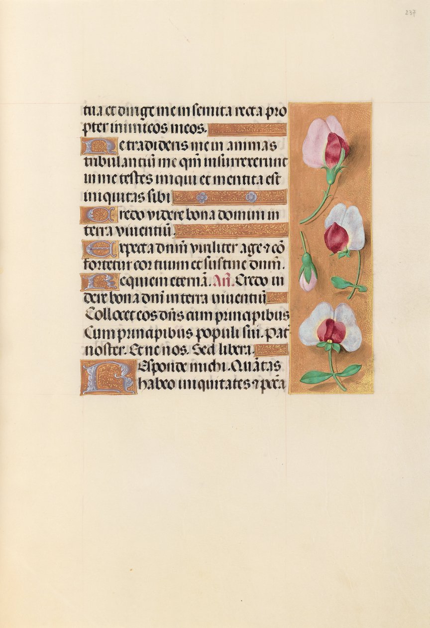 Izabella katolikus királyné, spanyol királynő órái: Fol. 237r, c. 1500. alkotó: Master of the First Prayerbook of Maximillian
