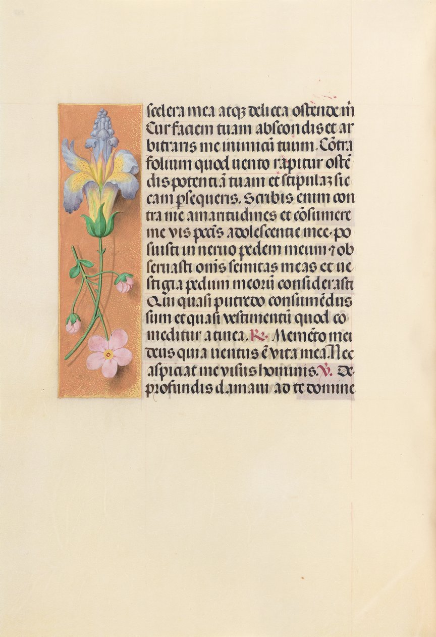 Izabella katolikus királyné, spanyol királynő órái: Fol. 237v, c. 1500. alkotó: Master of the First Prayerbook of Maximillian