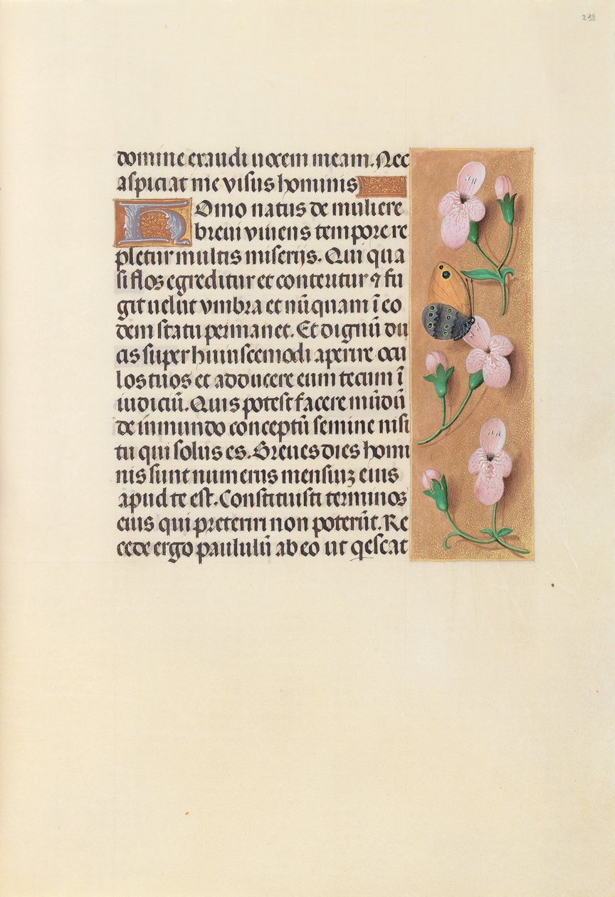Izabella katolikus királyné, spanyol királynő órái: Fol. 238r, c. 1500. alkotó: Master of the First Prayerbook of Maximillian