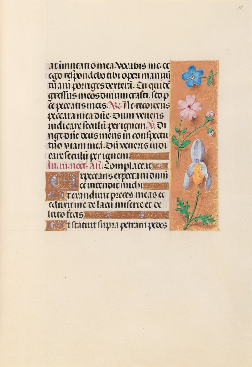 Izabella katolikus királyné, spanyol királynő órái: Fol. 239r, c. 1500. alkotó: Master of the First Prayerbook of Maximillian