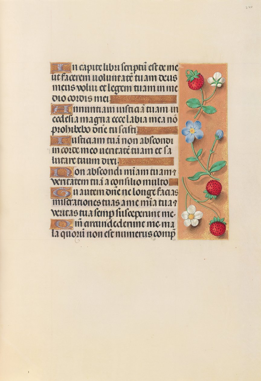 Izabella katolikus királyné, spanyol királynő órái: Fol. 240r, c. 1500. alkotó: Master of the First Prayerbook of Maximillian