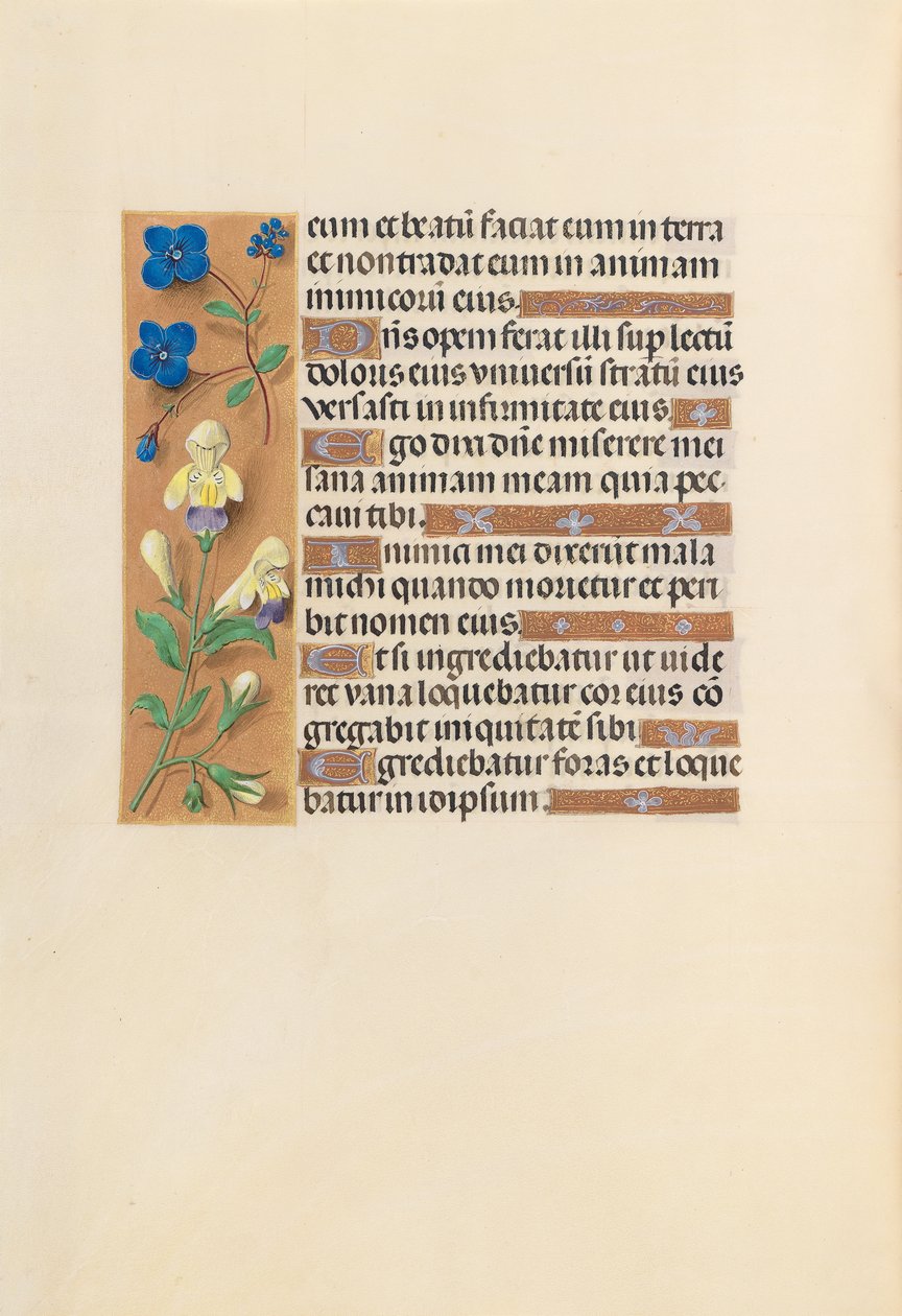 Izabella katolikus királyné, spanyol királynő órái: Fol. 241v, c. 1500. alkotó: Master of the First Prayerbook of Maximillian