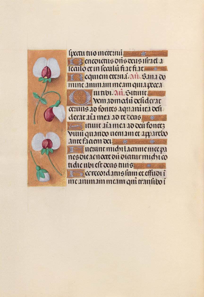 Izabella katolikus királyné, spanyol királynő órái: Fol. 242V, c. 1500. alkotó: Master of the First Prayerbook of Maximillian