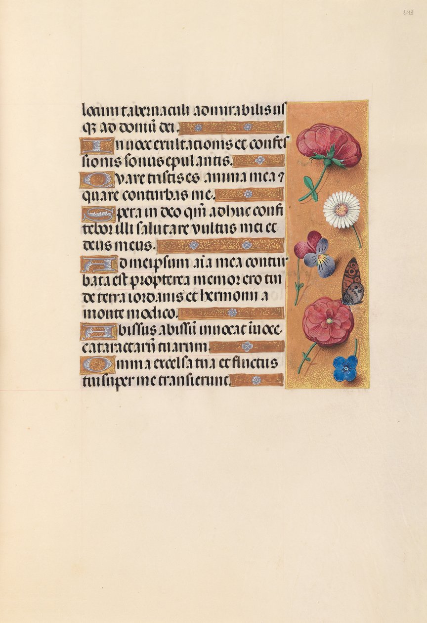 Izabella katolikus királyné, spanyol királynő órái: Fol. 243r, c. 1500. alkotó: Master of the First Prayerbook of Maximillian