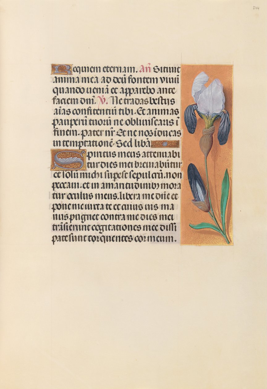 Izabella katolikus királyné, spanyol királynő órái: Fol. 244r, c. 1500. alkotó: Master of the First Prayerbook of Maximillian