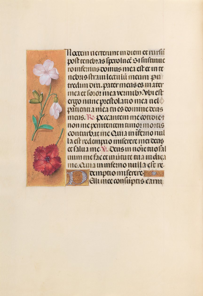 Izabella katolikus királyné, spanyol királynő órái: Fol. 244v, c. 1500. alkotó: Master of the First Prayerbook of Maximillian