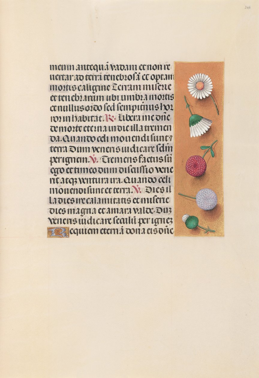 Izabella katolikus királyné, spanyol királynő órái: Fol. 245r, c. 1500. alkotó: Master of the First Prayerbook of Maximillian