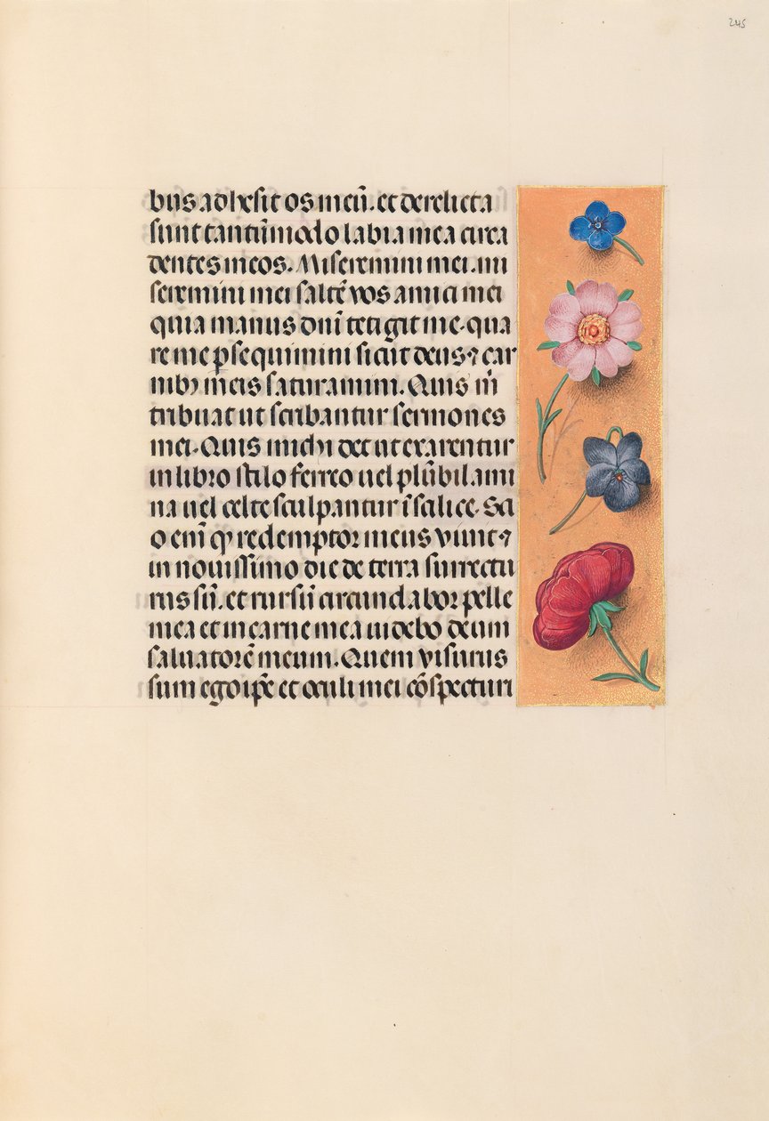 Izabella katolikus királyné, spanyol királynő órái: Fol. 245r, c. 1500. alkotó: Master of the First Prayerbook of Maximillian