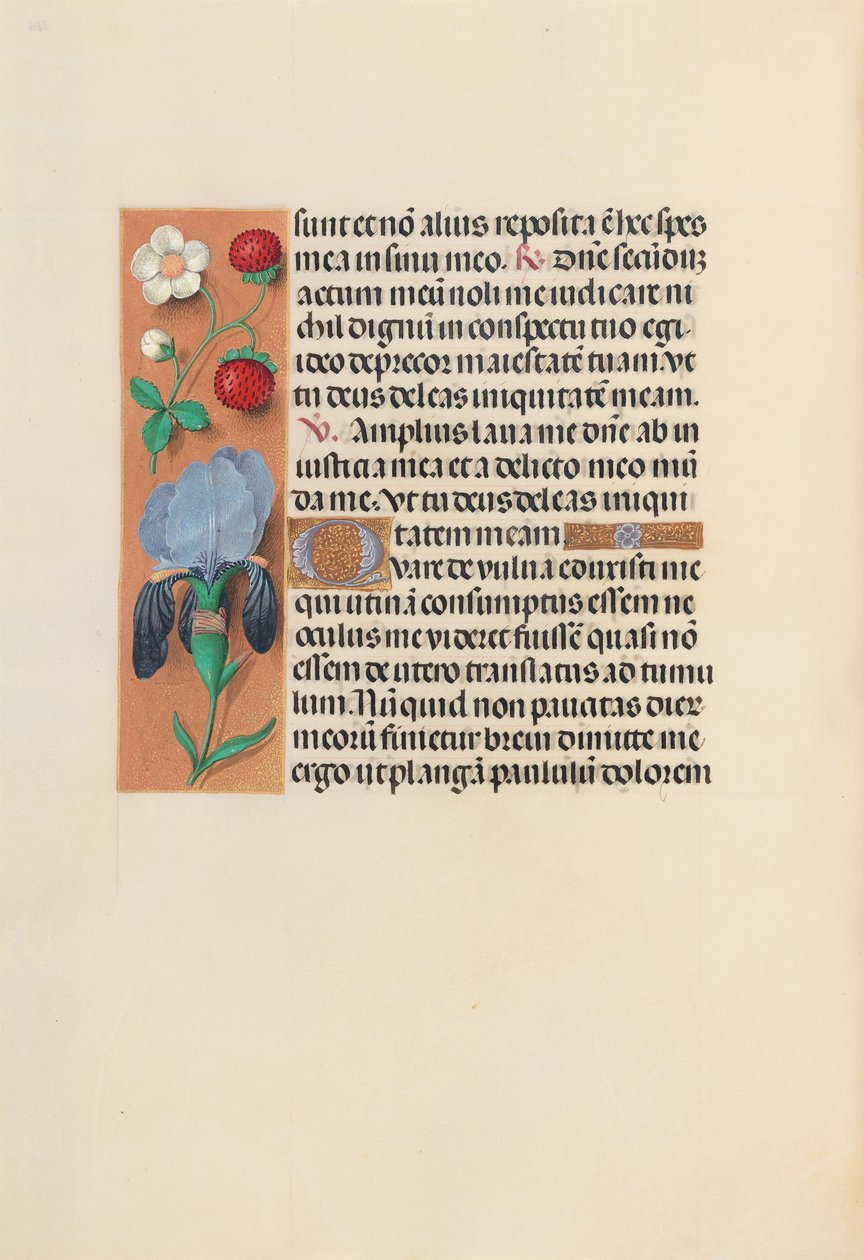 Izabella katolikus királyné, spanyol királynő órái: Fol. 245V, c. 1500. alkotó: Master of the First Prayerbook of Maximillian