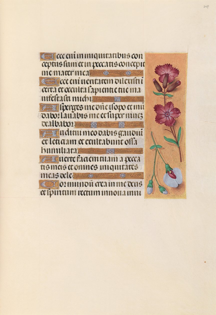 Izabella katolikus királyné, spanyol királynő órái: Fol. 247r, c. 1500. alkotó: Master of the First Prayerbook of Maximillian