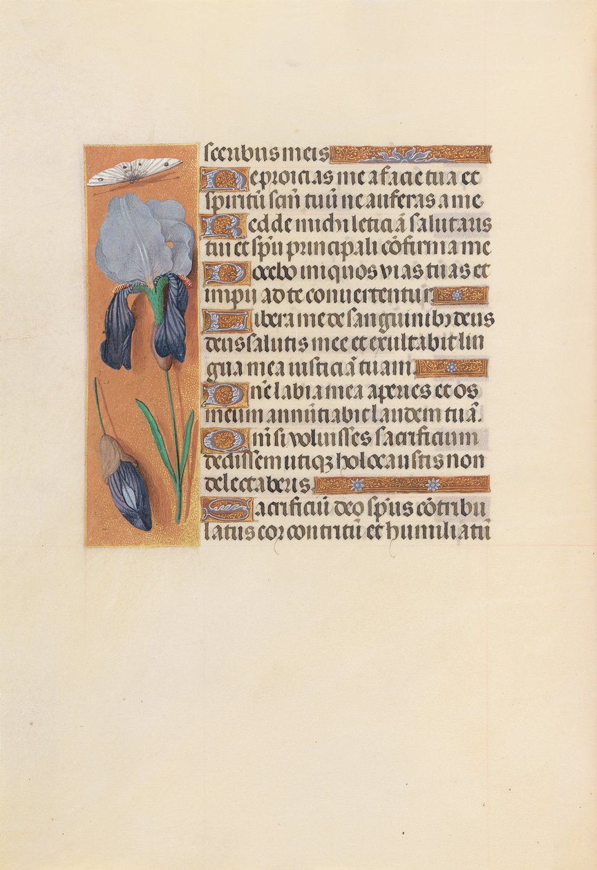 Izabella katolikus királyné, spanyol királynő órái: Fol. 247V, c. 1500. alkotó: Master of the First Prayerbook of Maximillian