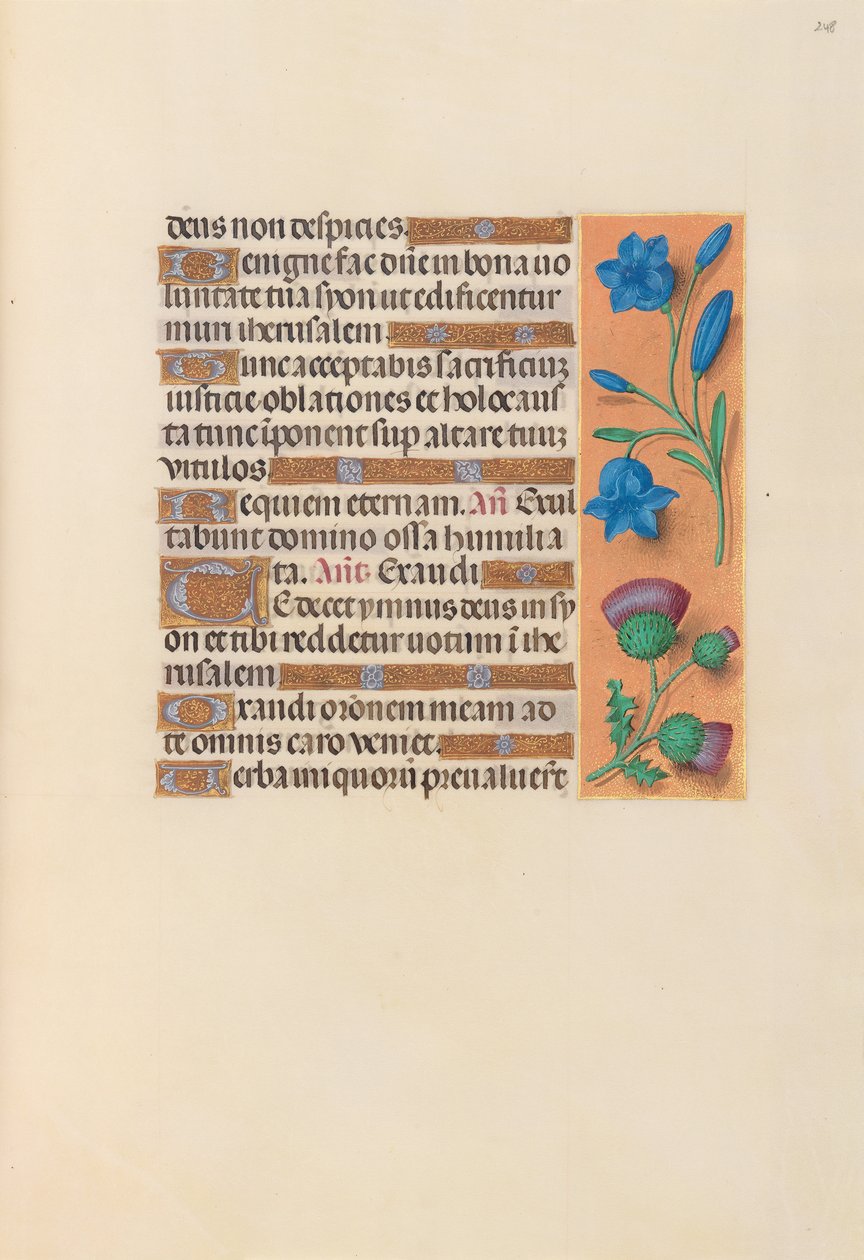 Izabella katolikus királyné, spanyol királynő órái: Fol. 248r, c. 1500. alkotó: Master of the First Prayerbook of Maximillian