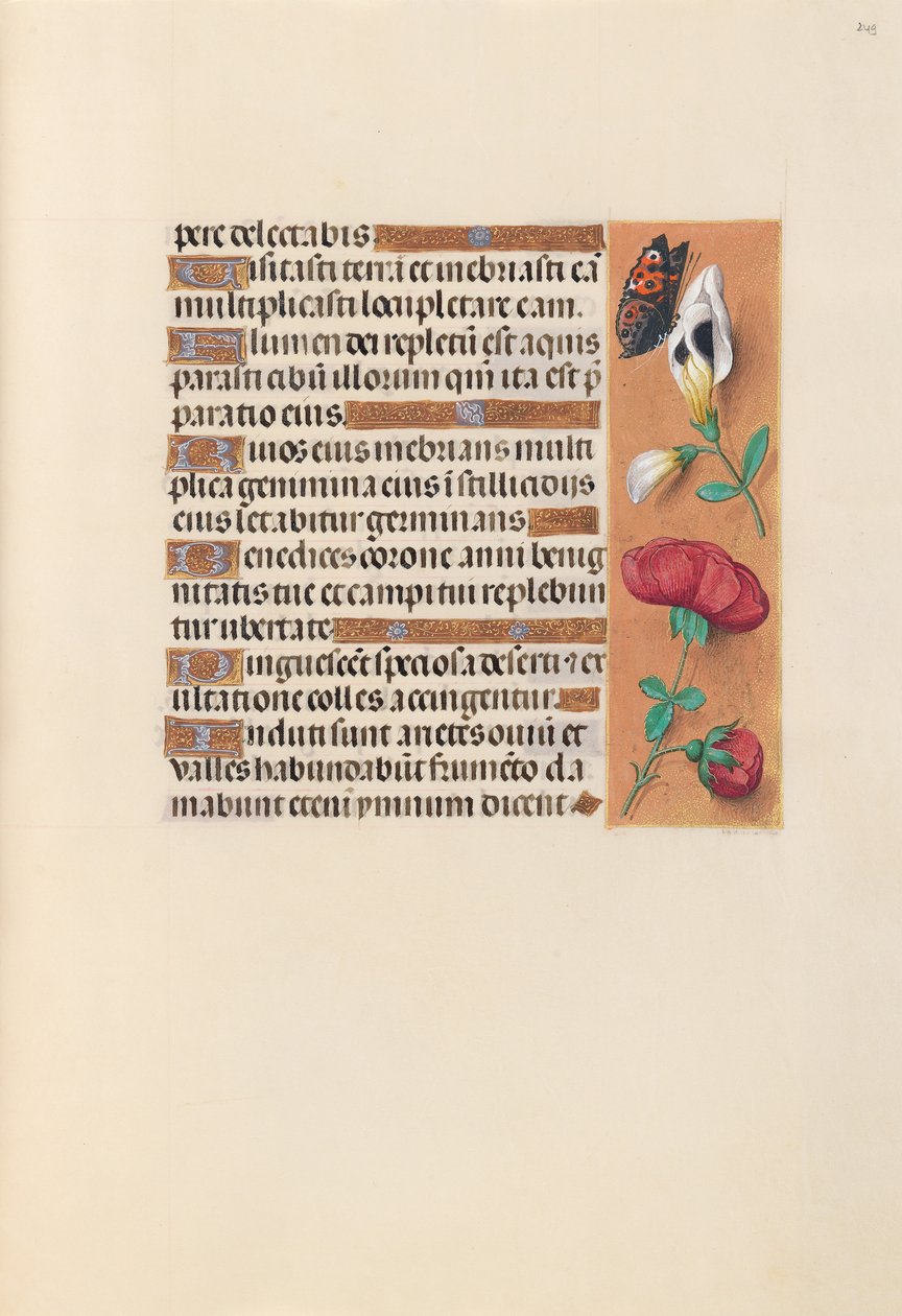 Izabella katolikus királyné, spanyol királynő órái: Fol. 249r, c. 1500. alkotó: Master of the First Prayerbook of Maximillian