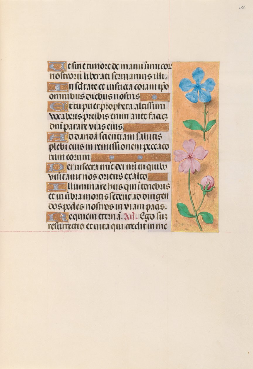 Izabella katolikus királyné, spanyol királynő órái: Fol. 255r, c. 1500. alkotó: Master of the First Prayerbook of Maximillian