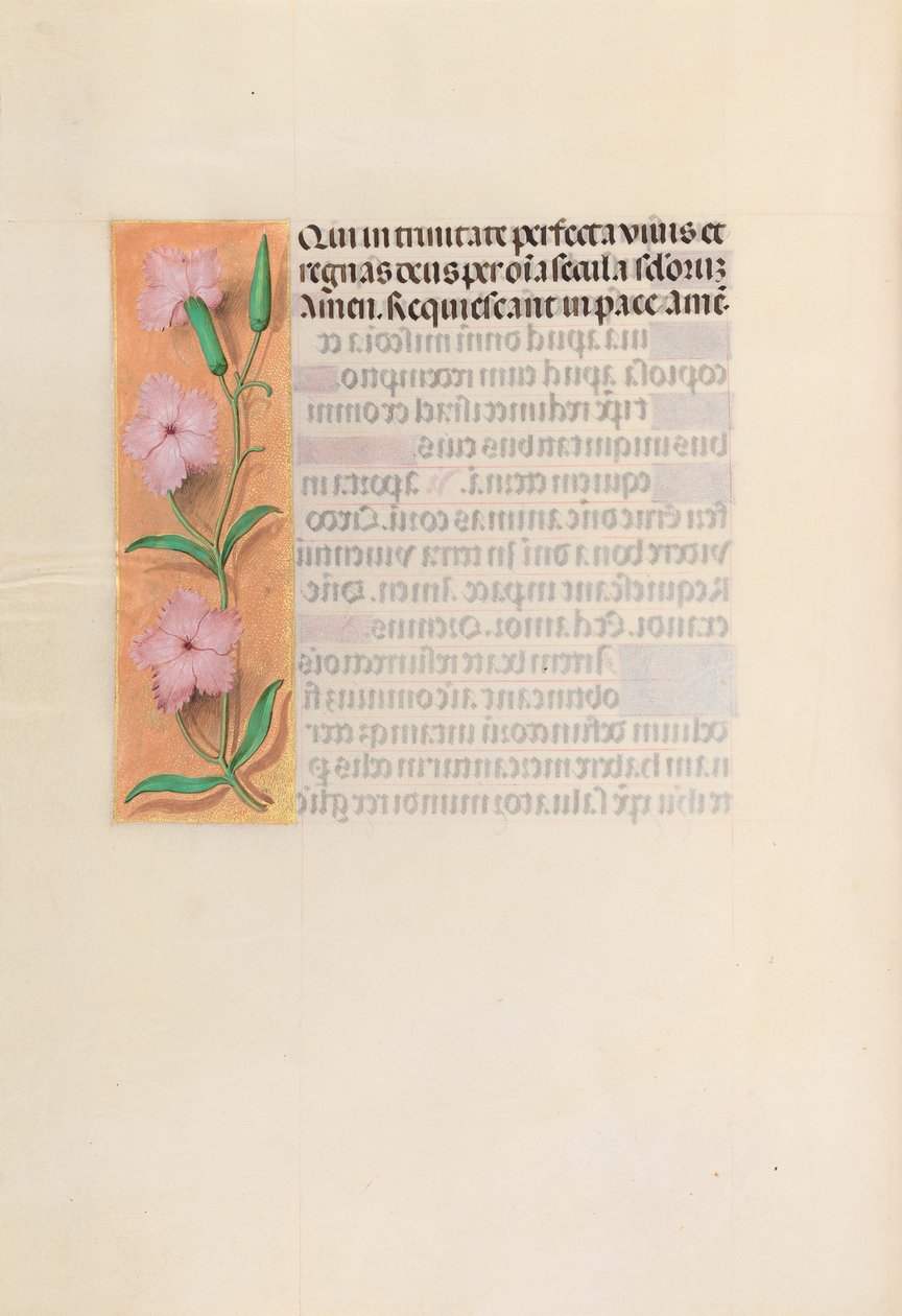 Izabella katolikus királyné, spanyol királynő órái: Fol. 256v, Szűz és gyermek, c. 1500. alkotó: Master of the First Prayerbook of Maximillian