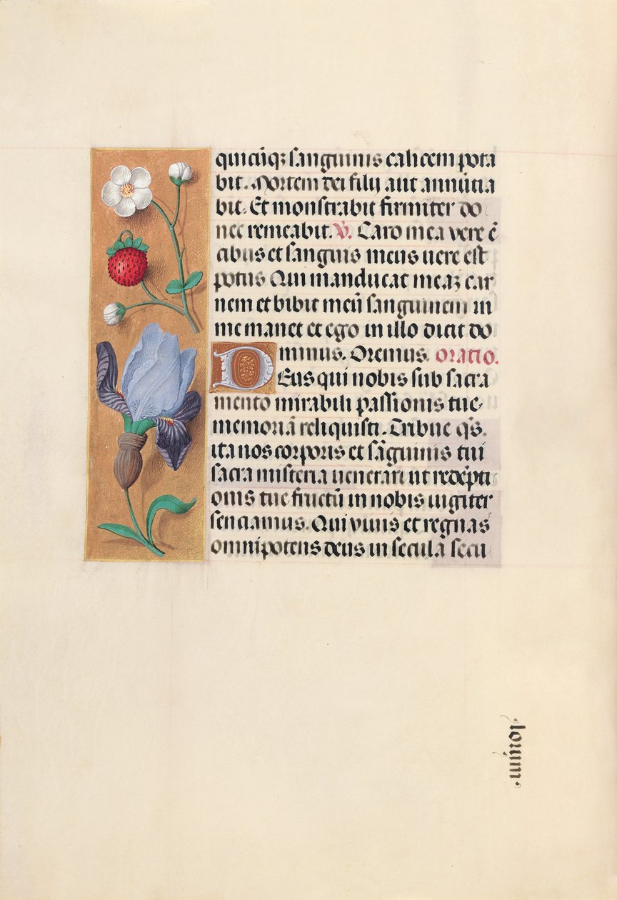 Izabella katolikus királyné, spanyol királynő órái: Fol. 46v, c. 1500. alkotó: Master of the First Prayerbook of Maximillian