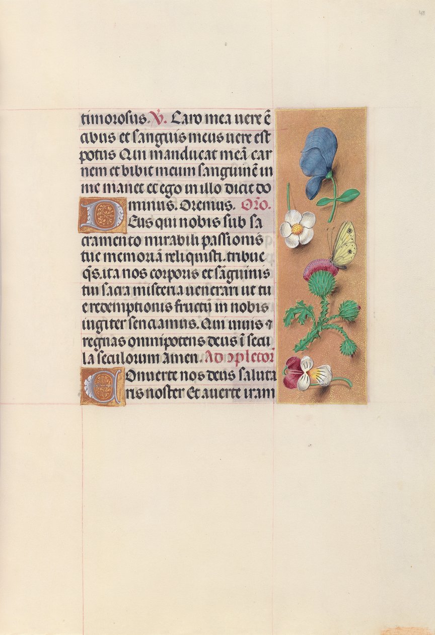 Izabella katolikus királyné, spanyol királynő órái: Fol. 48r, c. 1500. alkotó: Master of the First Prayerbook of Maximillian