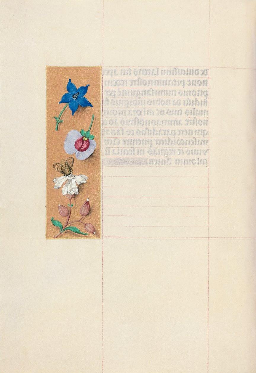 Izabella katolikus királyné, spanyol királynő órái: Fol. 71v, c. 1500. alkotó: Master of the First Prayerbook of Maximillian