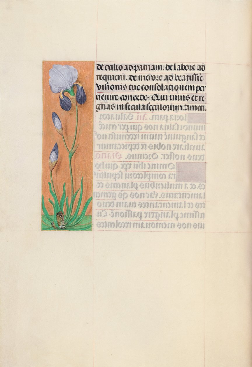 Izabella katolikus királyné, spanyol királynő órái: Fol. 79v, c. 1500. alkotó: Master of the First Prayerbook of Maximillian