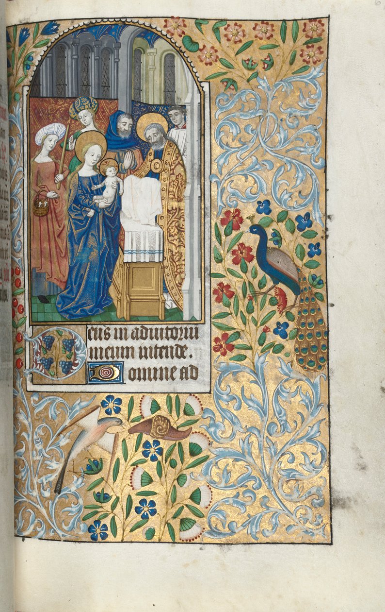 Órakönyv Rouen használata: fol. 67r, A gyermek Krisztus bemutatása a templomban, c. 1470. alkotó: Master of the Geneva Latini