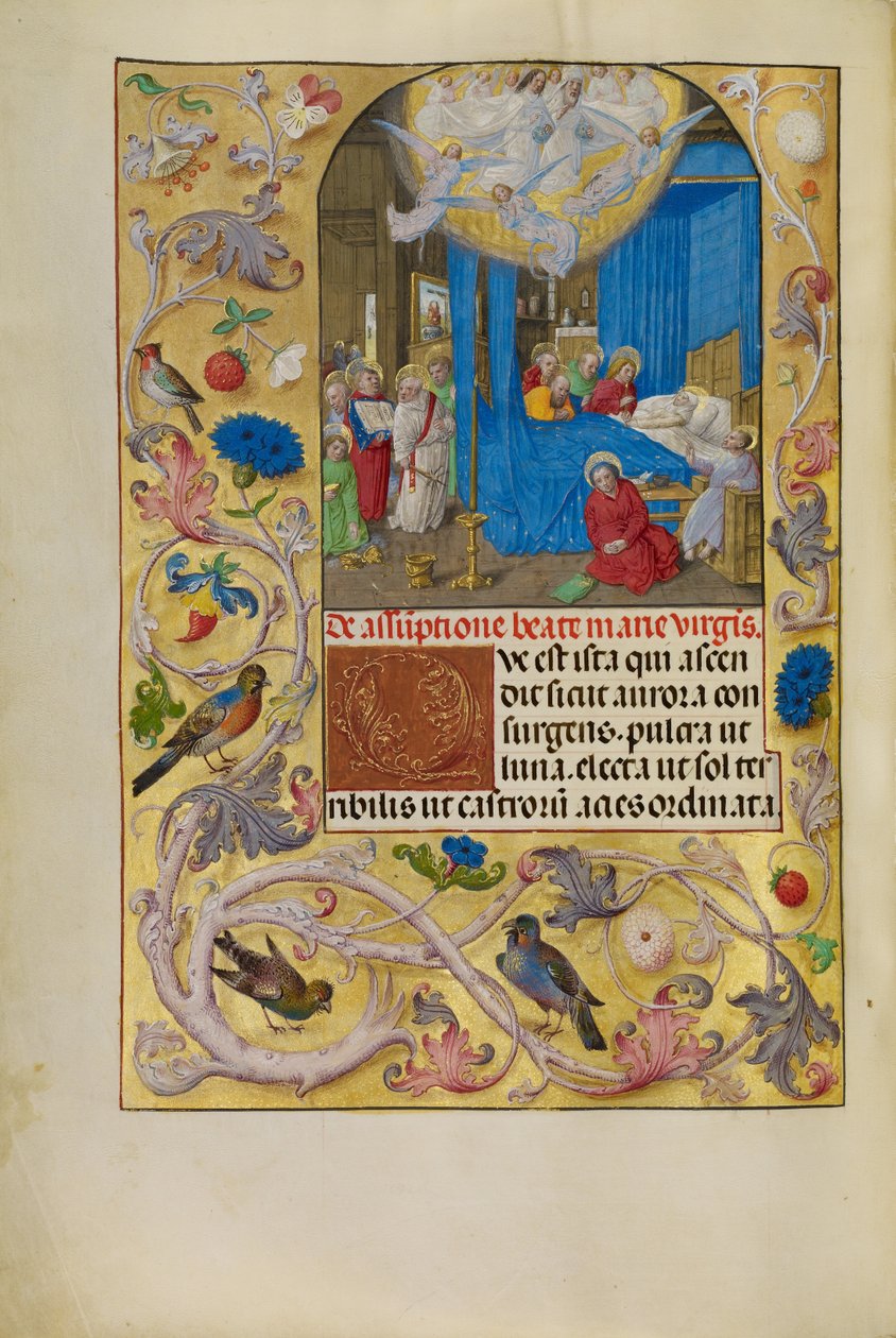 A szűz halála alkotó: Master of the Lübeck Bible