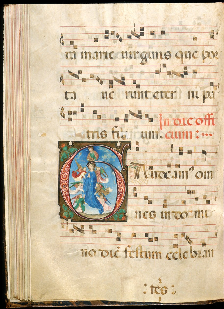 Szűz mennybemenetele, f.72v fokozatos, 15. század végi (tinta, tempera és aranylevél pergamenen) alkotó: Master of the Saluces Hours (attr. to)