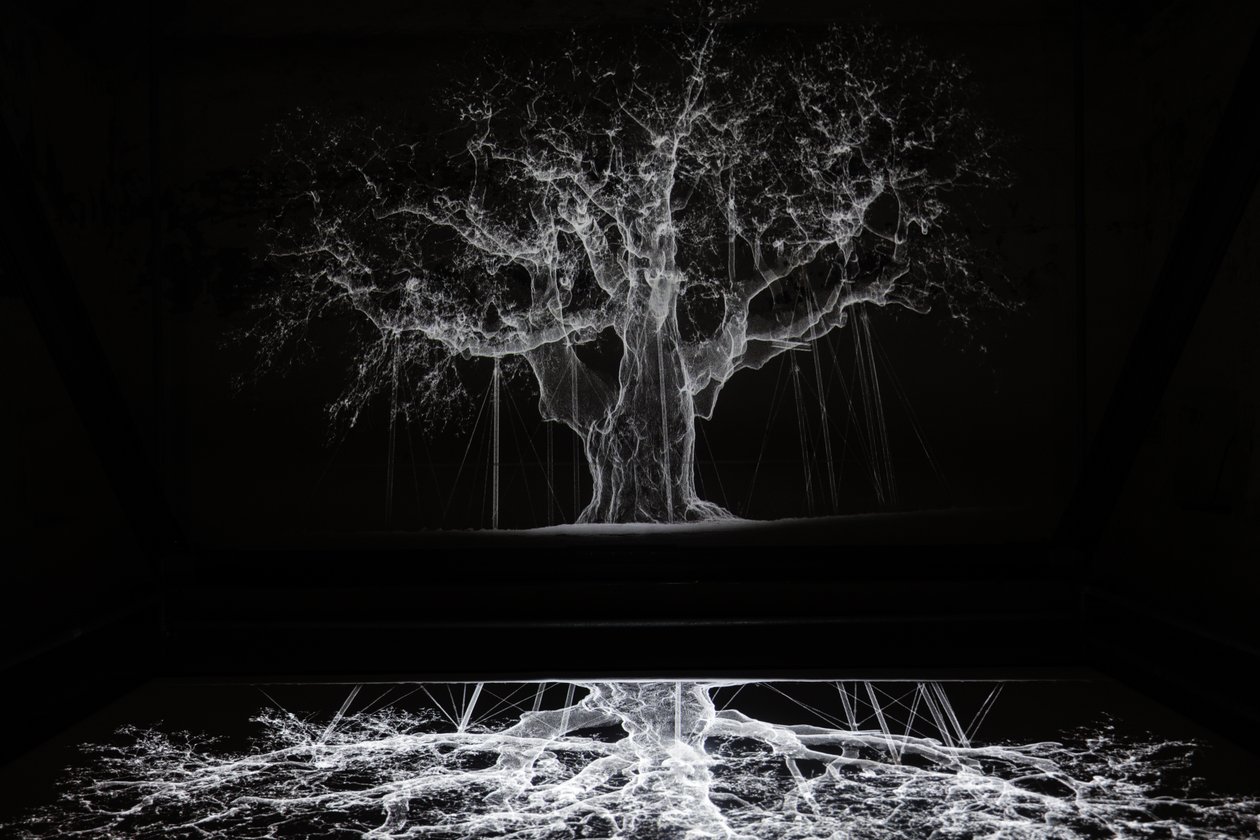 Albion, 2017 (projektor, médialejátszó, állványzat, átlátszó fólia, fa, festék, tükör, feszítő kellékek) alkotó: Mat Collishaw