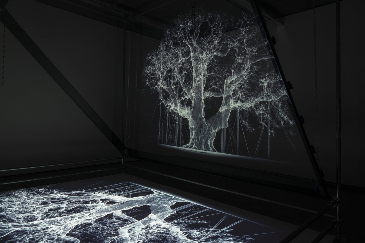 Albion, 2017 (projektor, médialejátszó, állványzat, átlátszó fólia, fa, festék, tükör, feszítő kellékek) alkotó: Mat Collishaw