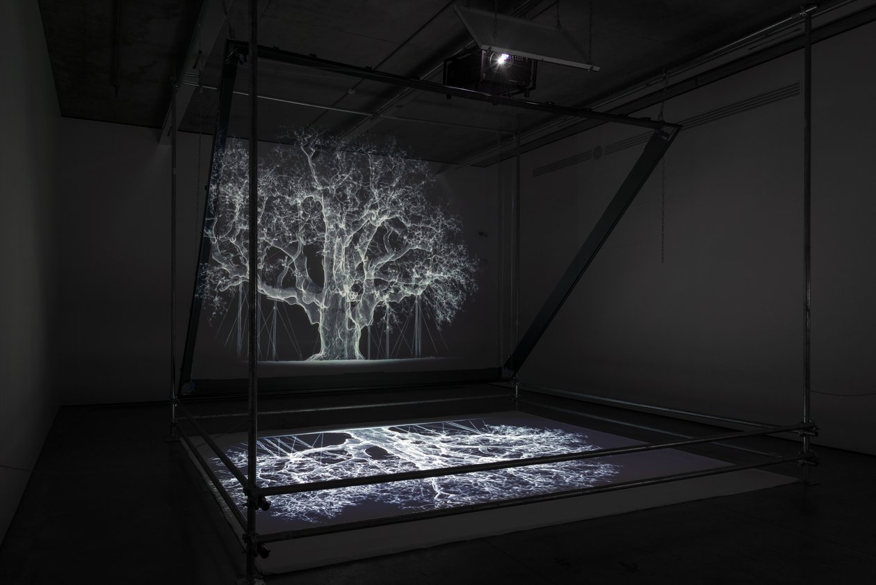 Albion, 2017 (projektor, médialejátszó, állványzat, átlátszó fólia, fa, festék, tükör, feszítő kellékek) alkotó: Mat Collishaw