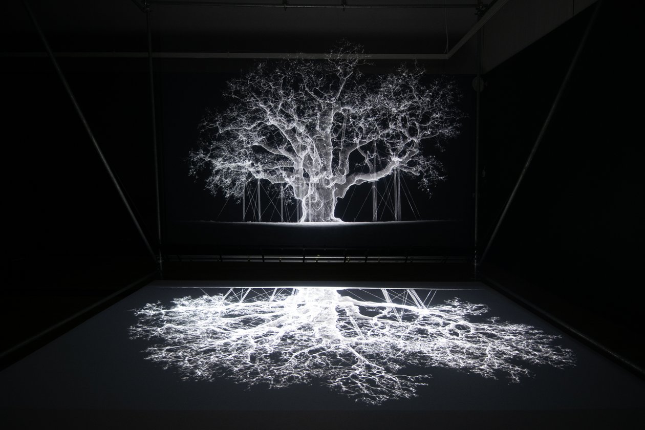 Albion, Mat Collishaw "Petrichor" című kiállításán a londoni Kew Gardensben, 2023 (fotó) alkotó: Mat Collishaw