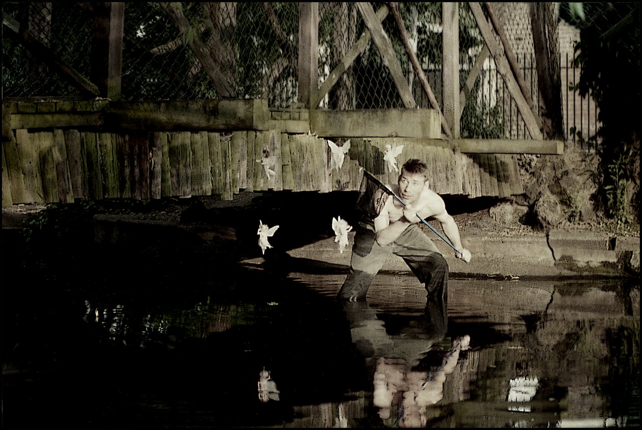 Tündérek elkapása 3 alkotó: Mat Collishaw