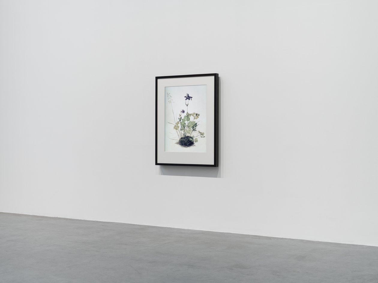 Columbine, 2018 (Fakeret, szegély, LCD képernyő, ventilátor és médialejátszó) alkotó: Mat Collishaw