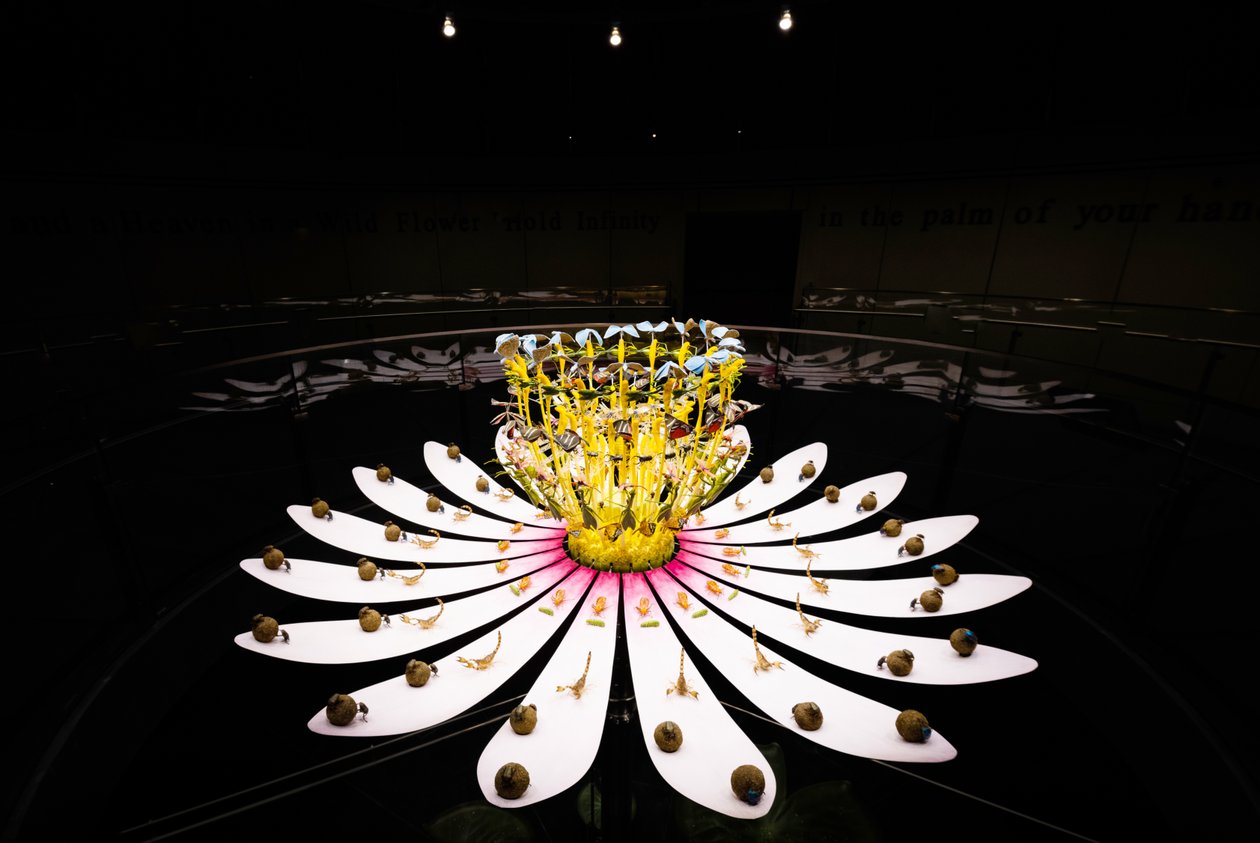 Equinox, 2021 (akril, elektromos áramkörök, hidraulika, lakk, motor, festék, újrahasznosított gyanta, acél) alkotó: Mat Collishaw