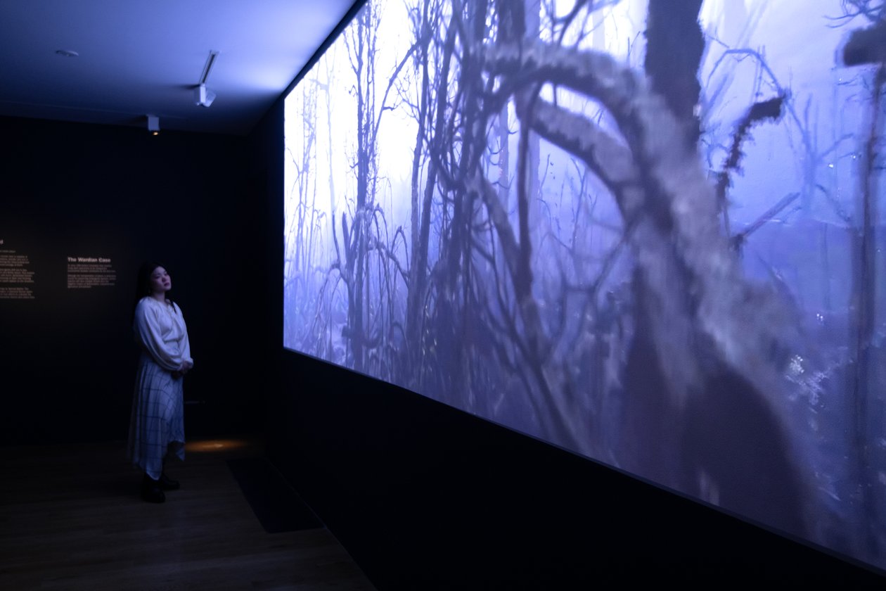 Még a végsőkig, Mat Collishaw Petrichor című kiállításán a londoni Kew Gardensben, 2023 (fotó) alkotó: Mat Collishaw