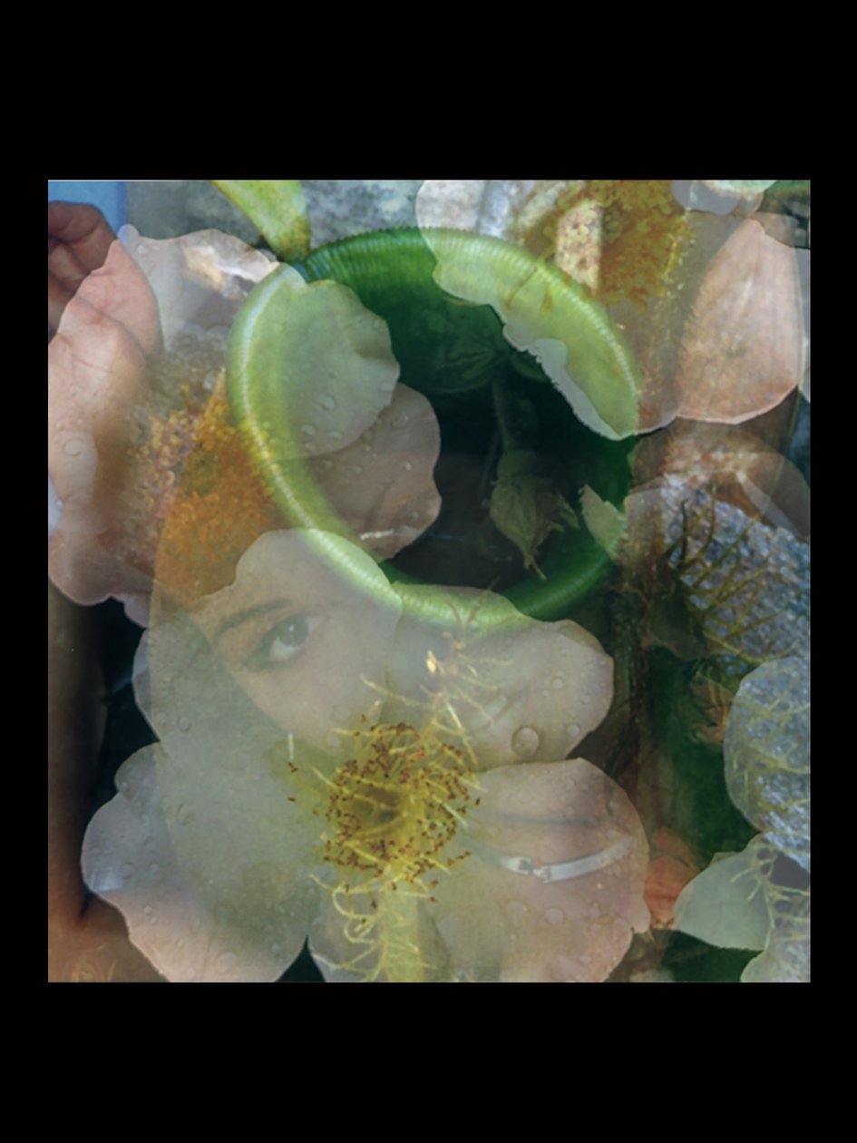 Hústüzelők 2 alkotó: Mat Collishaw