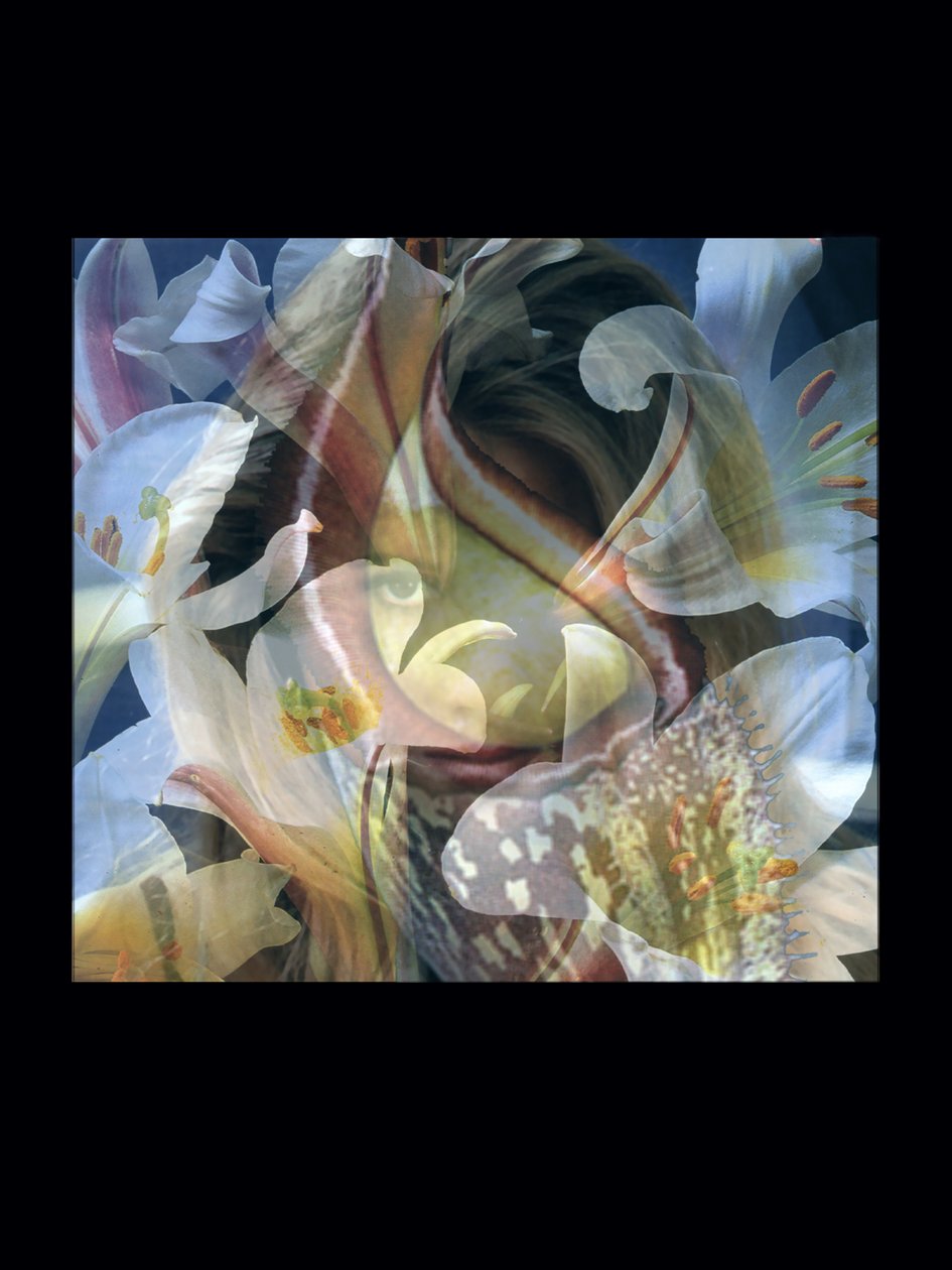 Hústüzelők 3 alkotó: Mat Collishaw