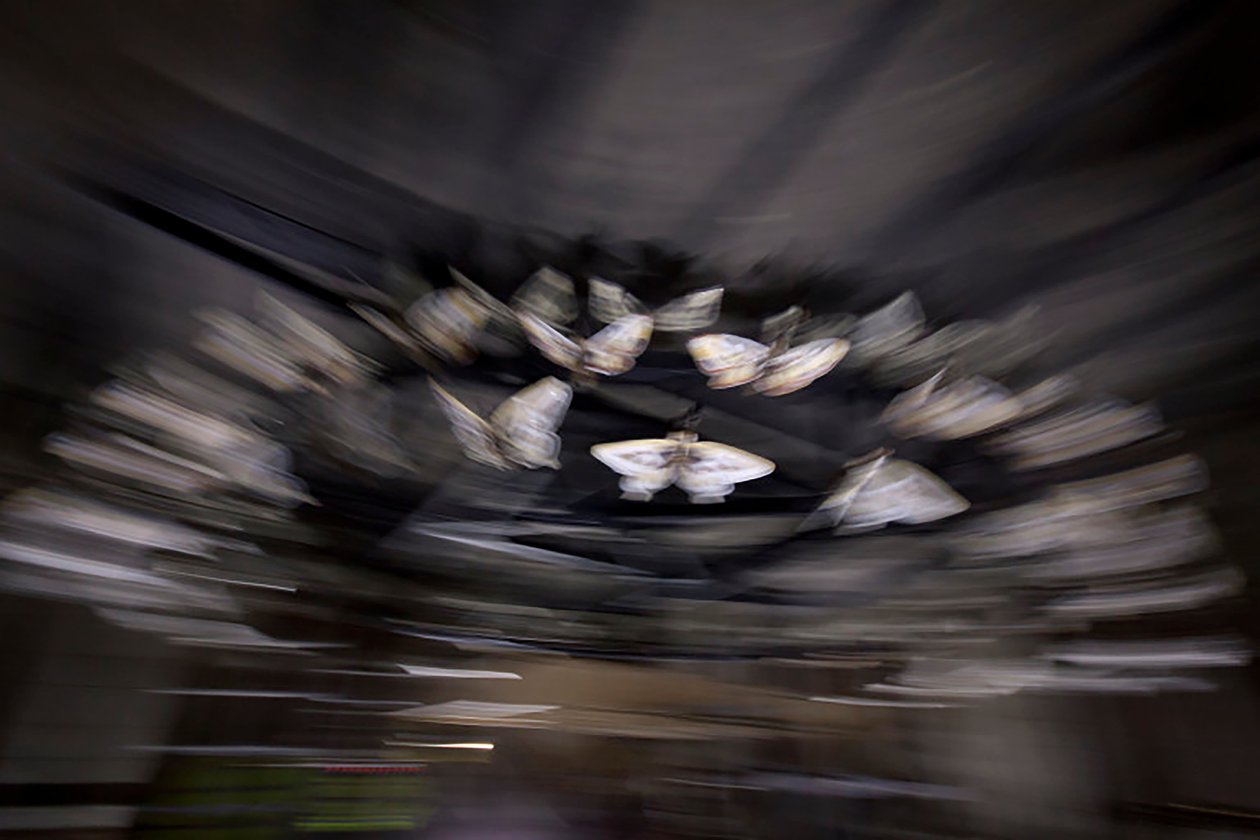 Magic Lantern, 2010 (acélkeret, perforált alumíniumlemez, duzzasztott gyanta, LED lámpák, motor) alkotó: Mat Collishaw