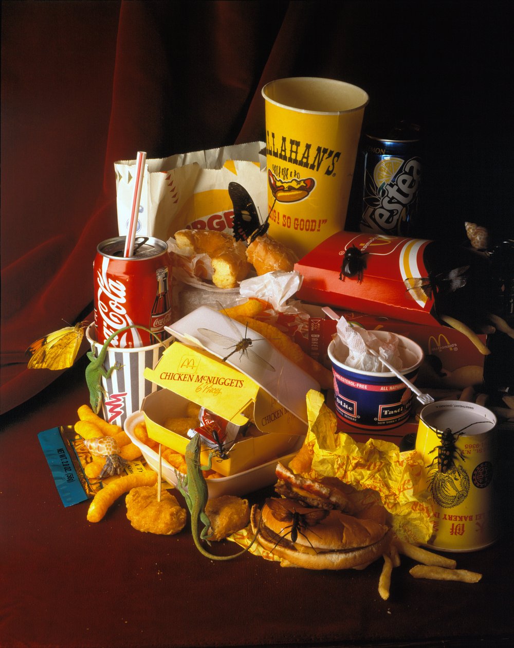 Natura halál 2 alkotó: Mat Collishaw
