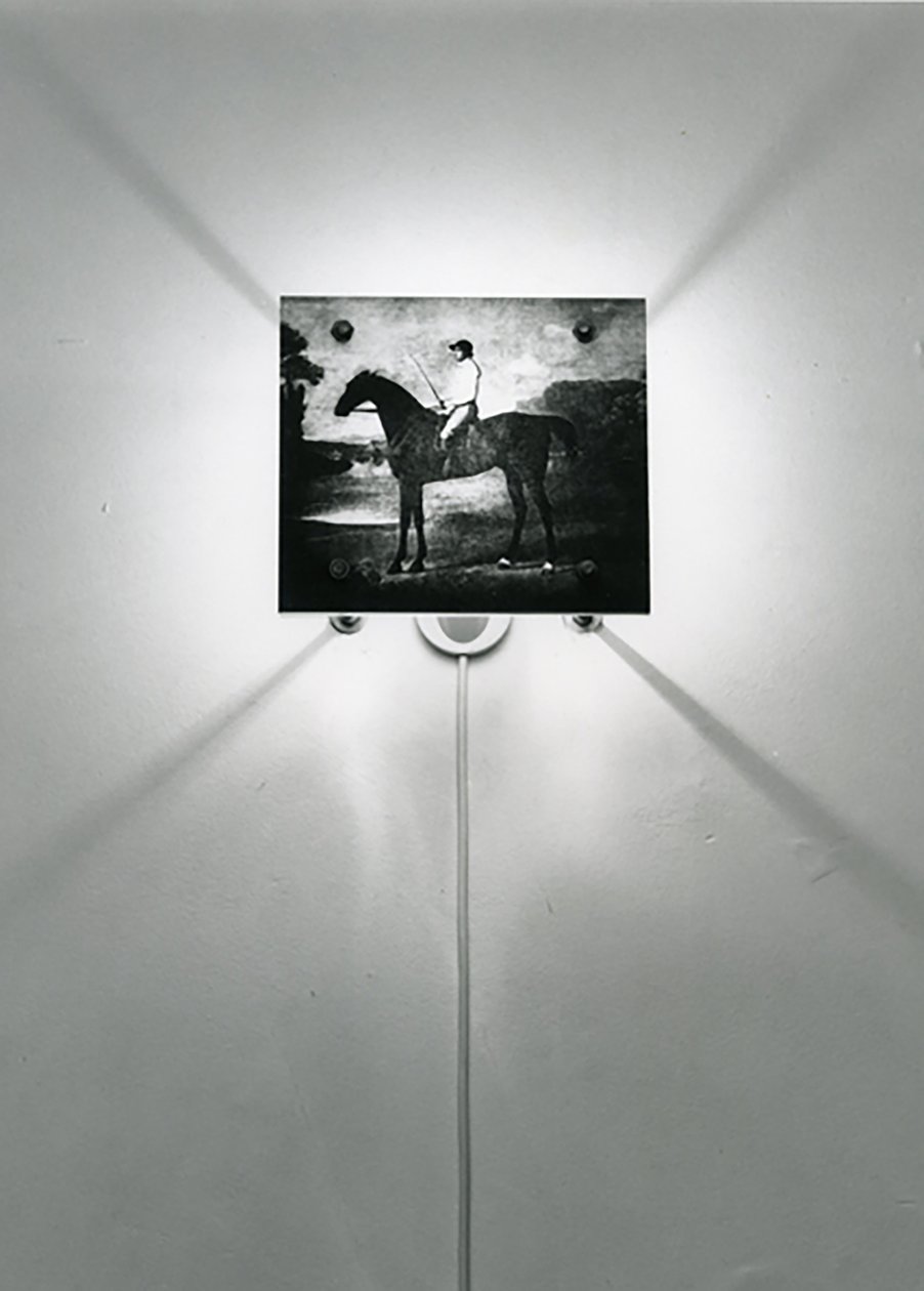 Stubbs lovak alkotó: Mat Collishaw
