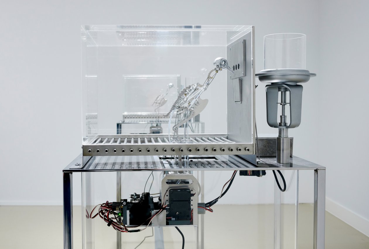 The Machine Zone, 2019 (acél, alumínium, szervomotorok) alkotó: Mat Collishaw