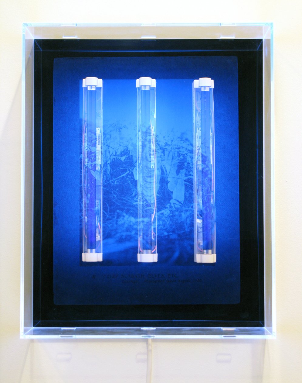 UV Garden, Fairy, Sunbath, Elves, Etc., 2008 (Szitanyomat akrilra, UV fény és lámpatestek) alkotó: Mat Collishaw