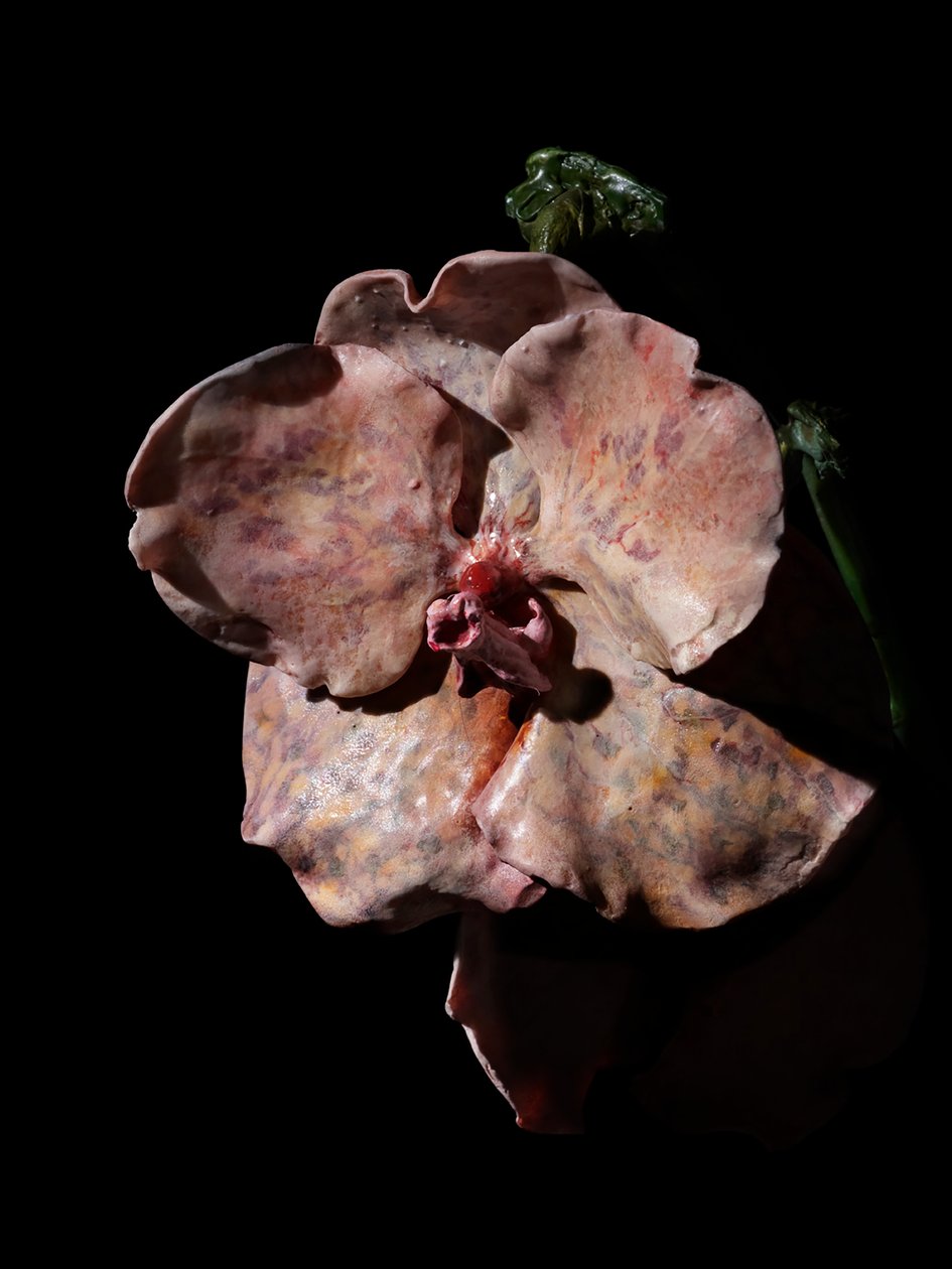 Venal Muse, Impetus, 2012 (gyanta, zománcfesték, fa, üveg, acél) alkotó: Mat Collishaw