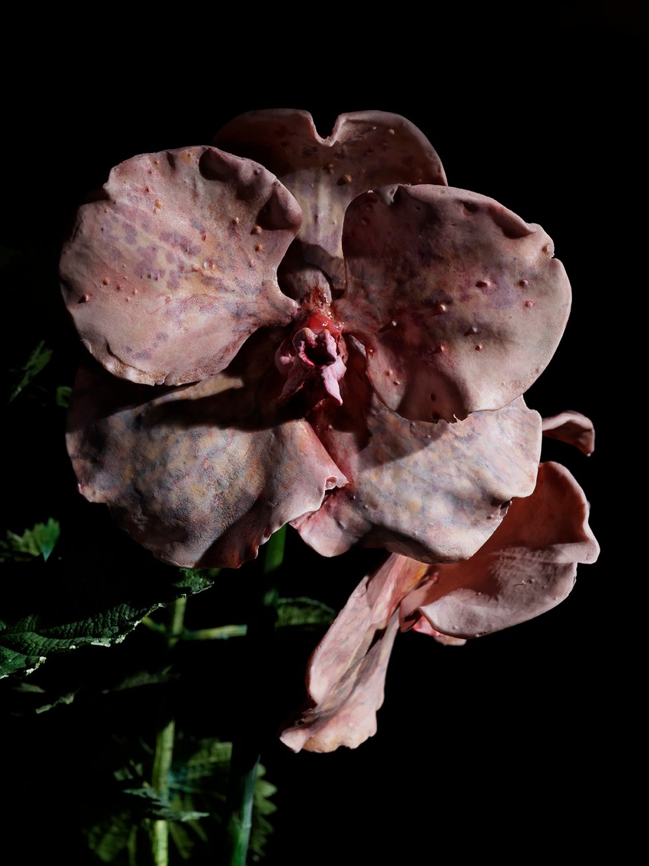 Venal Muse, Impetus, 2012 (gyanta, zománcfesték, fa, üveg, acél) alkotó: Mat Collishaw