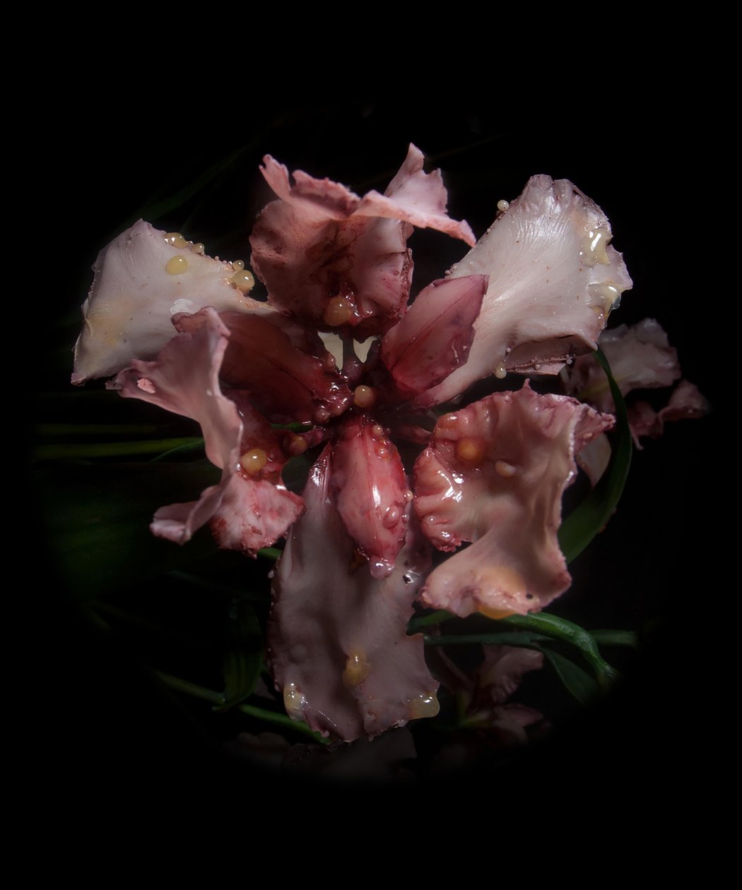 Venal Muse, Viridor, 2012 (gyanta, zománcfesték, fa, üveg, acél) alkotó: Mat Collishaw