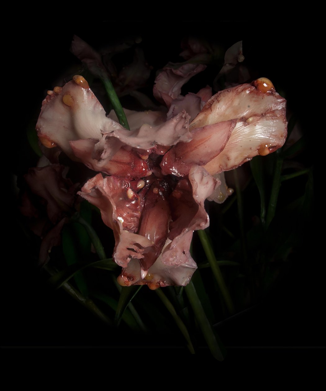 Venal Muse, Viridor, 2012 (gyanta, zománcfesték, fa, üveg, acél) alkotó: Mat Collishaw