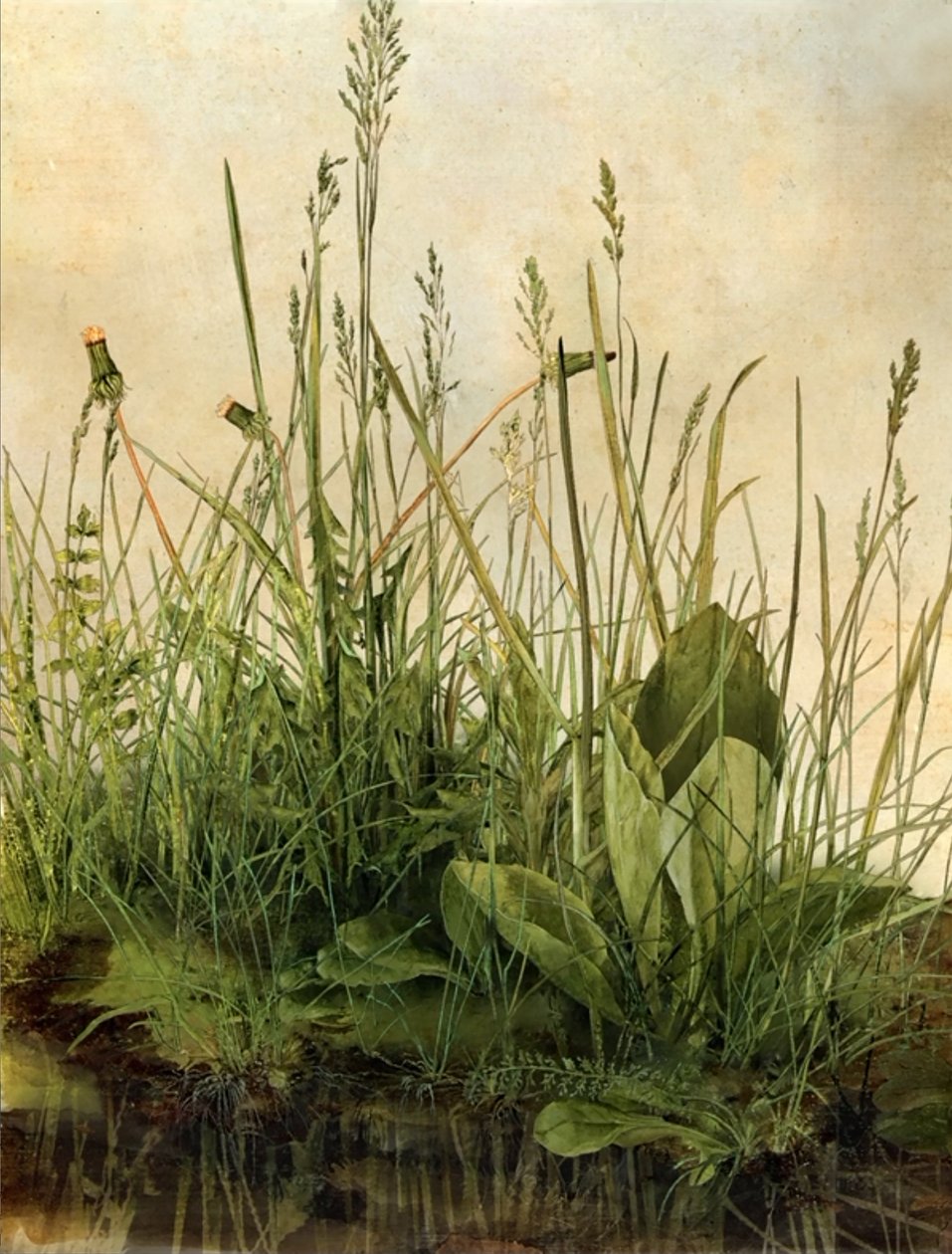 Whispering Weeds, 2011 (fakeret, szegély, LCD képernyő, ventilátor és merevlemez) alkotó: Mat Collishaw