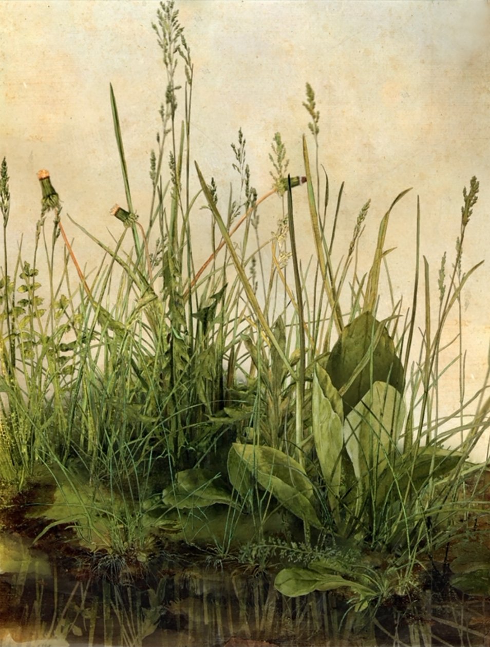Whispering Weeds, 2011 (fakeret, szegély, LCD képernyő, ventilátor és merevlemez) alkotó: Mat Collishaw